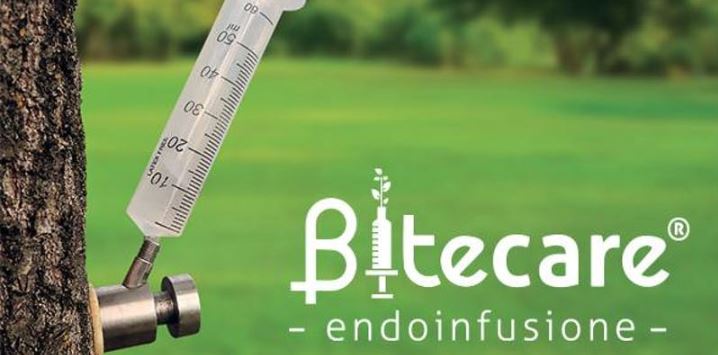 Bitecare Workshop - La rivoluzione dell’endoterapia alle piante