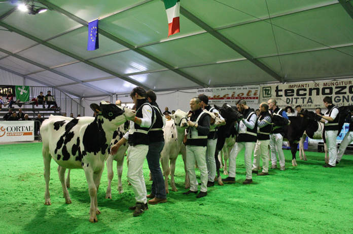 Redditività del latte: i consigli degli allevatori a Bovimac 2019