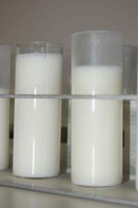 produzione latte