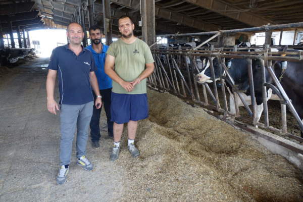 - Paolo Sgariboldi, il collaboratore aziendale Luna e Giorgio Vigo all’interno di una delle stalle. L’allevamento conta un totale di 750 capi bovini, di cui 320 in lattazione